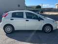 Fiat Punto VAN N1 1.3 M-JET 5 PORTE 4 POSTI - 2018 Blanc - thumbnail 2