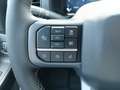 Ford F 150 Lariat 5.0L V8 Coyote SuperCrew® N1 Schwarz - thumbnail 17
