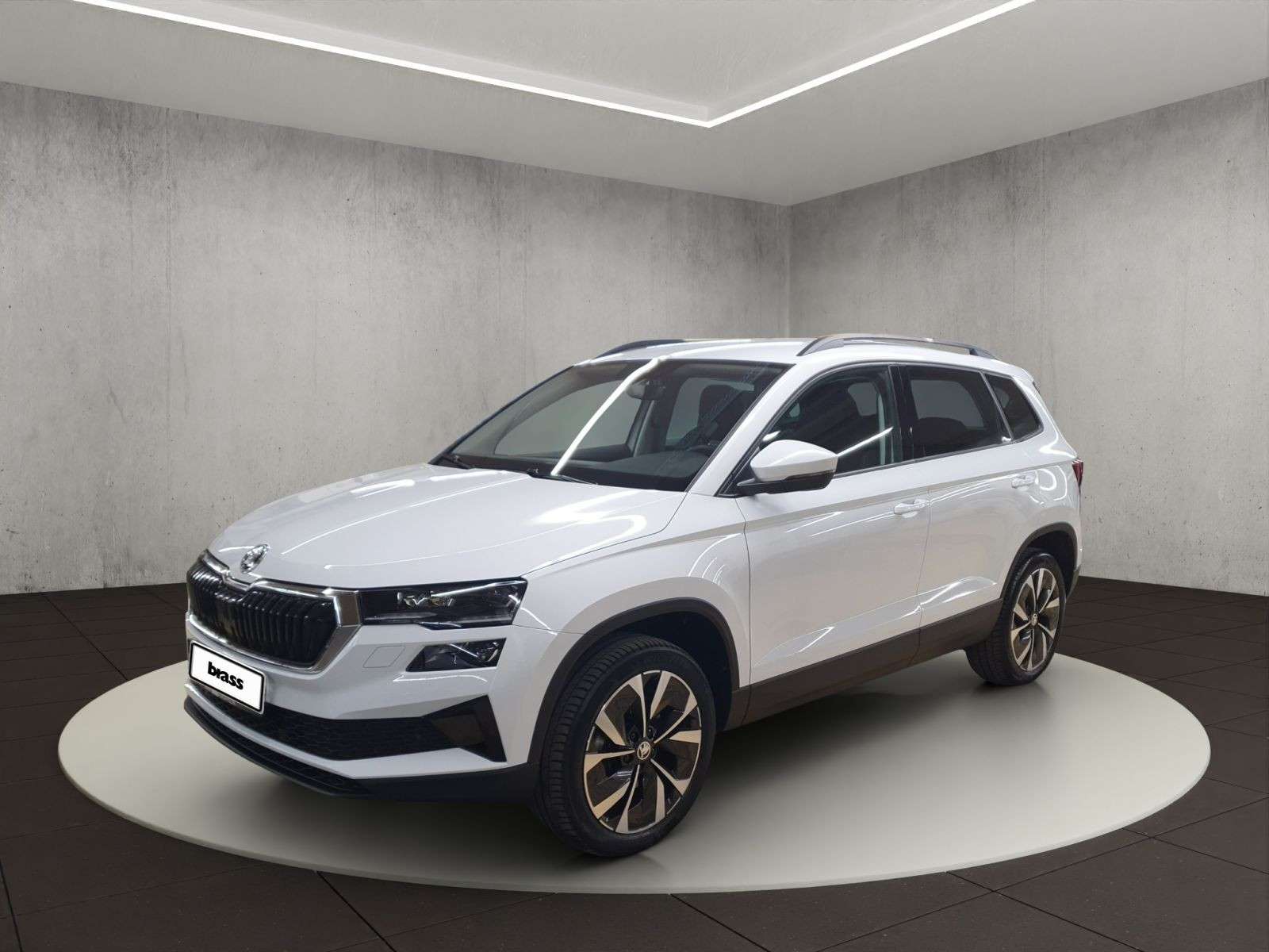 Skoda Karoq occasion