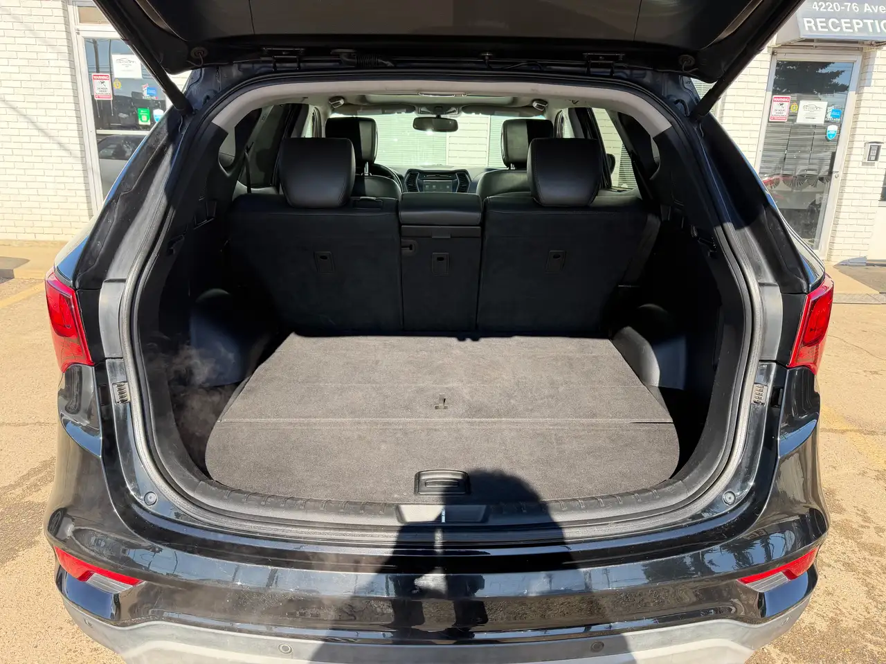 Hyundai SANTA FE fotografie Hyundai SANTA FE