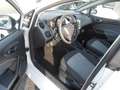 SEAT Ibiza 1.2 TSI Weiß - thumbnail 8