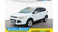 Ford Kuga 1.6 EcoB. Auto-S&S Trend 4x2 150 Bianco - thumbnail 1