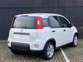 Fiat Panda 1.0 Hybrid | NIEUW | Bianco Gelato | Airconditioni Wit - thumbnail 4
