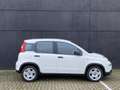 Fiat Panda 1.0 Hybrid | NIEUW | Bianco Gelato | Airconditioni Wit - thumbnail 3
