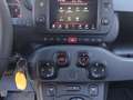 Fiat Panda Cross 1.0 FireFly S&S Hybrid Grigio - thumbnail 15