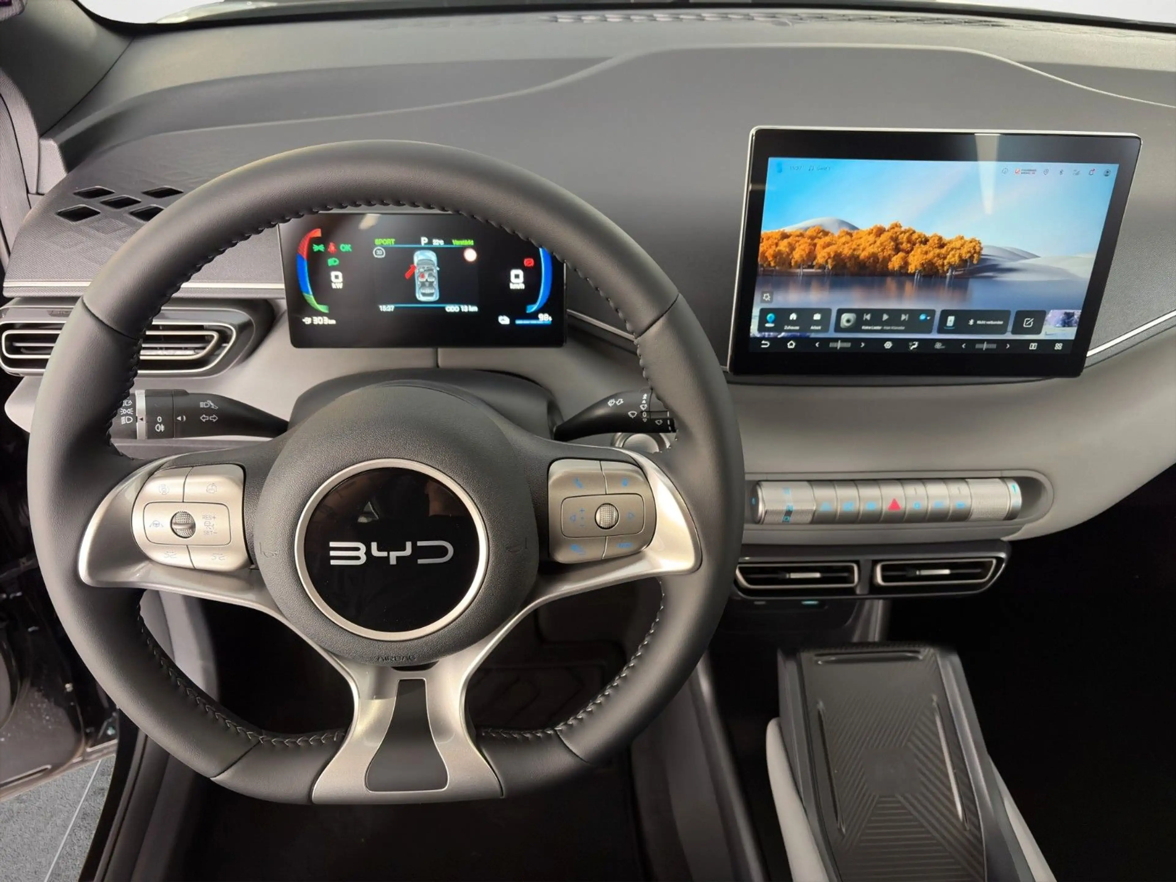 BYD Dolphin Surf Comfort/ACC/LEDER/360°/SHZ/NAV/ — photo 9