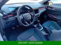 Skoda Fabia TSI Monte Carlo*PANO*Kamera*beh.Lenkra*LED Weiß - thumbnail 17