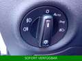 Skoda Fabia TSI Monte Carlo*PANO*Kamera*beh.Lenkra*LED Weiß - thumbnail 21