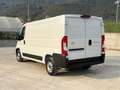 Toyota Proace Max 33 2.2 BlueHDi 120CV PM-TN Furgone Alb - thumbnail 7