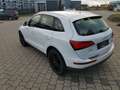 Audi Q5 2.0 TDI clean diesel/ultra  quattro Weiß - thumbnail 4