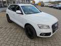 Audi Q5 2.0 TDI clean diesel/ultra  quattro Weiß - thumbnail 1
