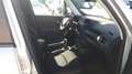 Jeep Renegade Renegade 2019 1.6 mjt Business 2wd 120cv ddct Argento - thumbnail 5