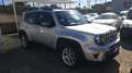 Jeep Renegade Renegade 2019 1.6 mjt Business 2wd 120cv ddct Argento - thumbnail 2