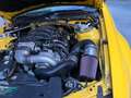 Ford Mustang GT Premium 4,6 L V8 Gelb - thumbnail 2