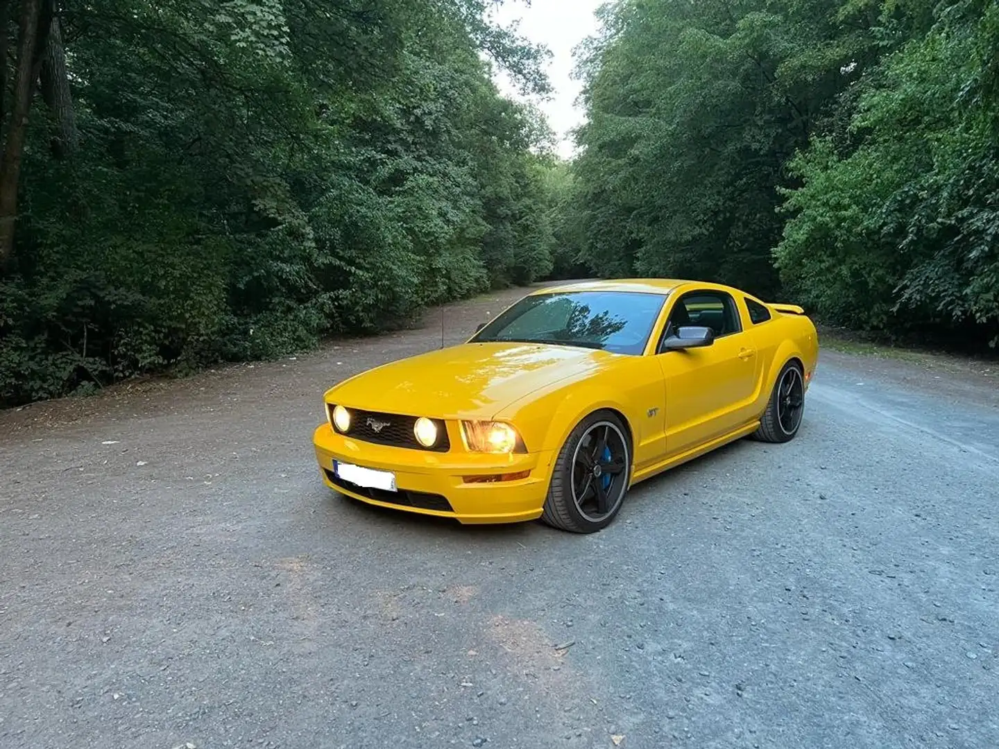 Ford Mustang GT Premium 4,6 L V8 Giallo - 1