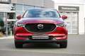 Mazda CX-5 SportsLine | Skyactiv-D 184 Allrad Automatik | Led Rouge - thumbnail 3