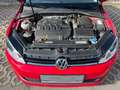 Volkswagen Golf Golf 1,6 TDI 4-Motion * 1. Besitz * Rot - thumbnail 15