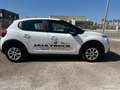 Citroen C3 BlueHDi 100 S&S Business N1 4POSTI Blanc - thumbnail 5