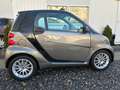 smart forTwo smart fortwo coupe softouch pulse hybrid drive Brun - thumbnail 6