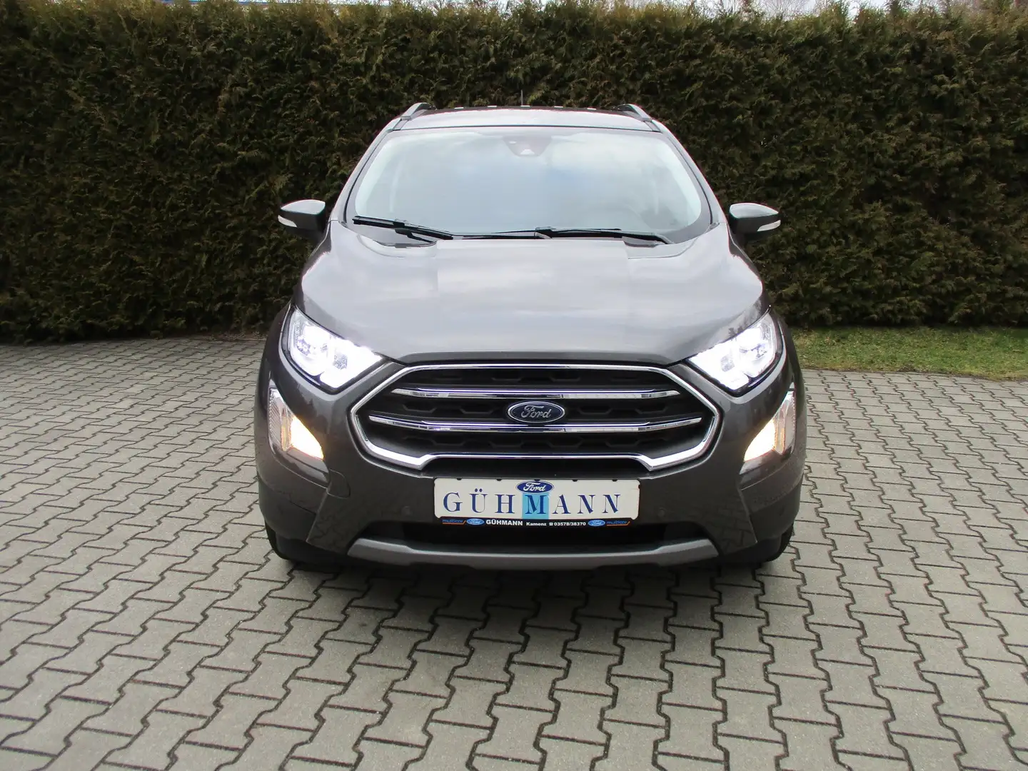 Ford EcoSport 1.0 EcoBoost TITANIUM, NAVI, KLIMAAUTOMATIK Grau - 2