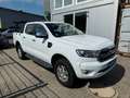 Ford Ranger XLT Doppelkabine 4x4 Blanc - thumbnail 3