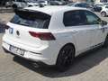 Volkswagen Golf GTI Clubsport Black St DSG Perf Kamera 19Z Weiß - thumbnail 5