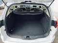 Ford Focus Turnier ST-Line Titanium*XENON*NAVI*SHZ* Weiß - thumbnail 11