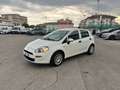 Fiat Punto Punto 1.2 5 porte Easypower Street Bianco - thumbnail 6