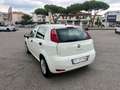 Fiat Punto Punto 1.2 5 porte Easypower Street Bianco - thumbnail 4