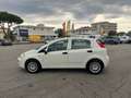 Fiat Punto Punto 1.2 5 porte Easypower Street Bianco - thumbnail 5