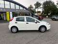 Fiat Punto Punto 1.2 5 porte Easypower Street Bianco - thumbnail 2