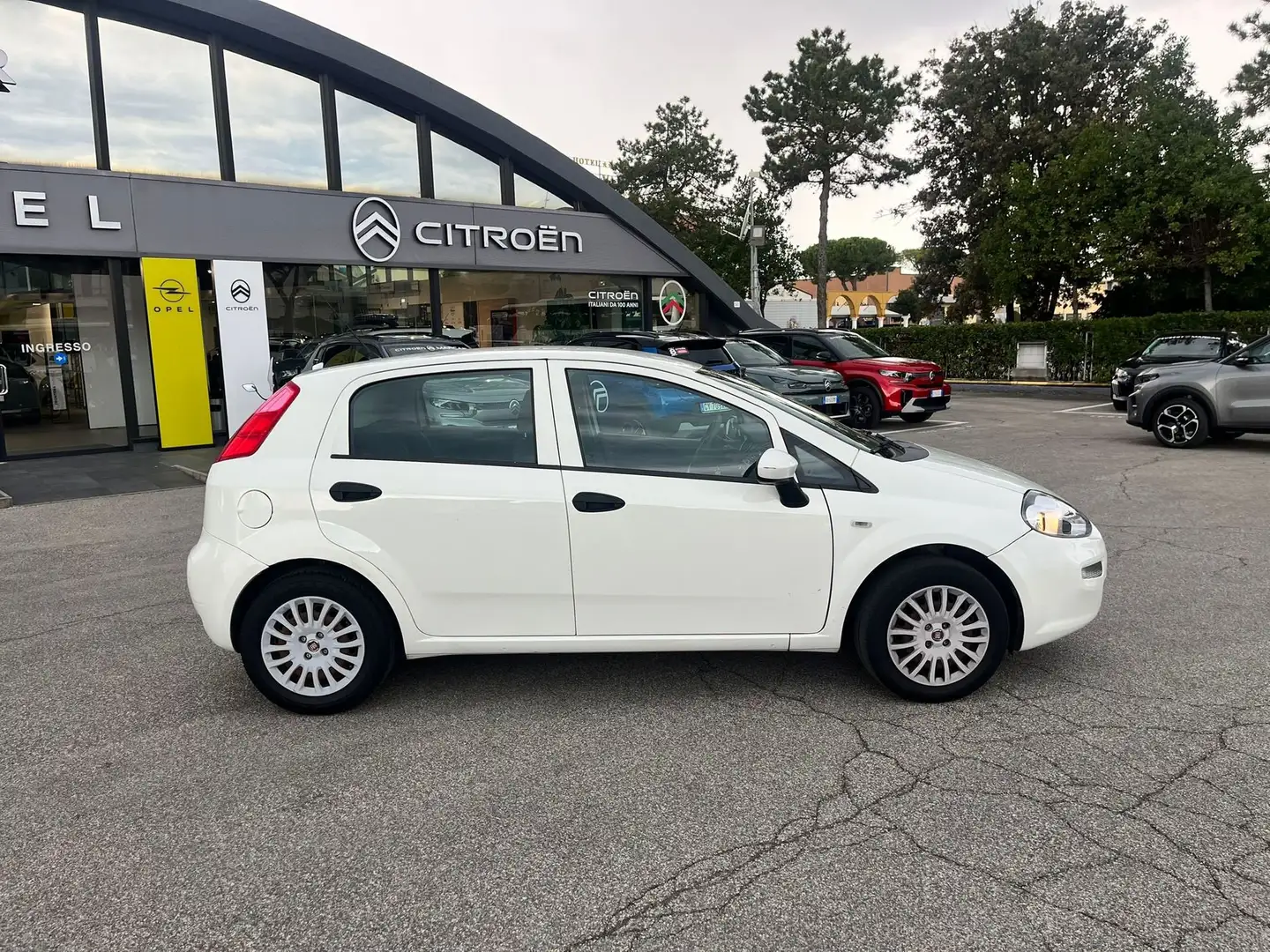 Fiat Punto Punto 1.2 5 porte Easypower Street Bianco - 2
