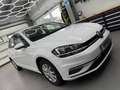Volkswagen Golf Golf Comfortline 1,0 TSI Comfortline Weiß - thumbnail 1