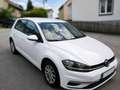 Volkswagen Golf Golf Comfortline 1,0 TSI Comfortline Weiß - thumbnail 3