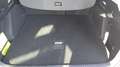 Ford Focus Focus V SW 1.5 ecoblue Business Co-pilot s&s Argent - thumbnail 17