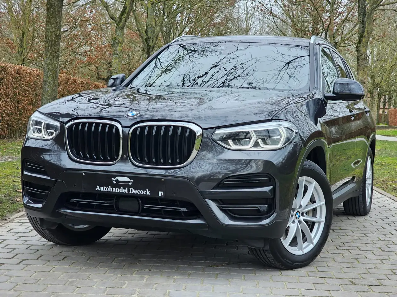 BMW X3 PHEV 2.0iA xDrive30e TREKHAAK BTW HYBRID, миниатюра 30