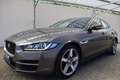 Jaguar XE 2.0 D 180 cv Automatica Prestige Grigio - thumbnail 3