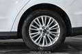 Ford Galaxy 2.0 EcoBlue Trend AWD Start/Stopp 7-Sitzer Picker Weiß - thumbnail 8