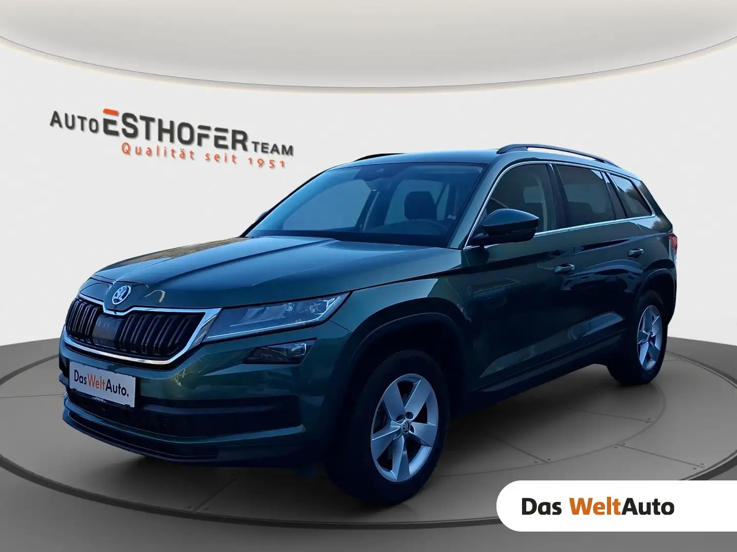 Skoda Kodiaq 4x4 Ambition SC TDI DSG Grün - 1