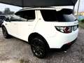 Land Rover Discovery Sport Discovery Sport I 2015 2.2 td4 HSE awd 150cv auto - thumbnail 6
