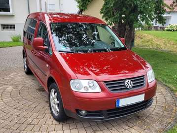 Caddy TDI 2.0 TDI Maxi Life Team (7-Si.)