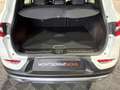 Renault Kadjar 1.3 TCe GPF Zen 103kW Blanco - thumbnail 19