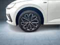 Skoda Scala 1.0 TSI Drive LED Navi Rückfahrkamera Einparkhilfe Blanc - thumbnail 14