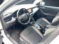 Skoda Scala 1.0 TSI Drive LED Navi Rückfahrkamera Einparkhilfe Blanc - thumbnail 3
