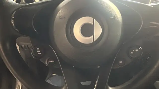 Smart Fortwo view 13