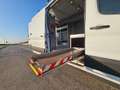 Ford Transit 350 2.0TDCi EcoBlue 130CV 4WD PM-TM ALLESTITO Bianco - thumbnail 3