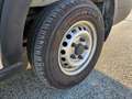 Ford Transit 350 2.0TDCi EcoBlue 130CV 4WD PM-TM ALLESTITO Bianco - thumbnail 13