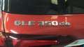 Mercedes-Benz GLE 350 350de 4Matic Aut. Rojo - thumbnail 12