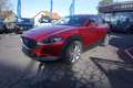 Mazda CX-30 /G122AT/Comfort+/S Rot - thumbnail 1