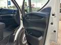 Iveco Daily 33S14S 2.3FURGONE MAXI VOLUME HI-MATIC - thumbnail 18